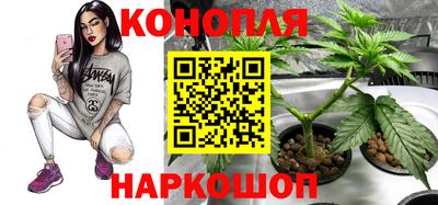 jwh Ставрополь