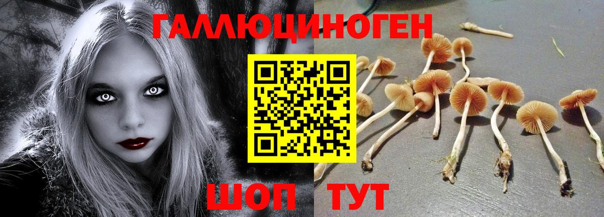Кушва  Псилоцибиновые грибы мухоморы  Вход с VPN 